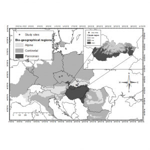 Evaluating similarity of radial increment around tree stem circumference of European beech and Norway spruce form Central Europe