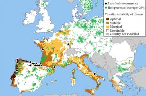 Potential Interactions Between Invasive Fusarium circinatum and Other Pine Pathogens in Europe