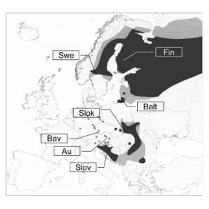 Phylogeographic analysis and genetic cluster recognition for the conservation of Ural Owls (Strix uralensis) in Europe