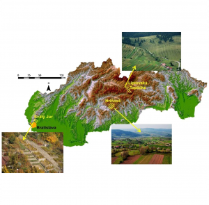 Assessment of the biocultural value of traditional agricultural landscape on a plot‐by‐plot level: case studies from Slovakia