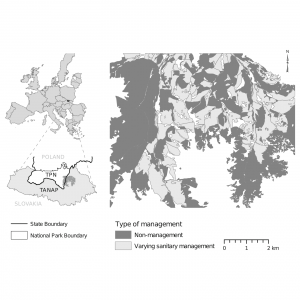 Influence of different forest protection strategies on spruce tree mortality during a bark beetle outbreak