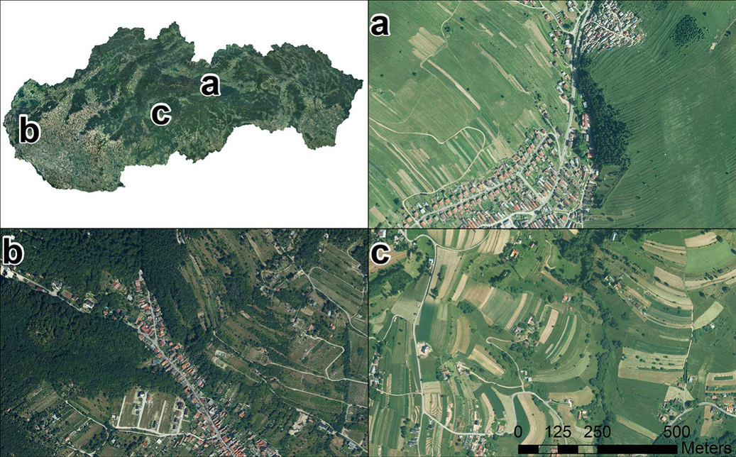 Factors affecting the biodiversity of historical landscape elements: detailed analyses from three case studies in Slovakia