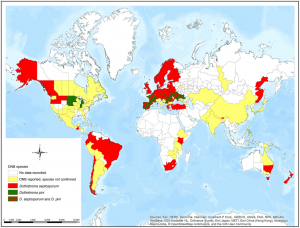  Global geographic distribution and host range of Dothistroma species : a comprehensive review
