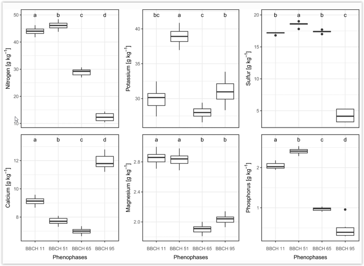 Seasonal dynamics of macronutrients in aboveground biomass of two herb-layer species in a beech forest