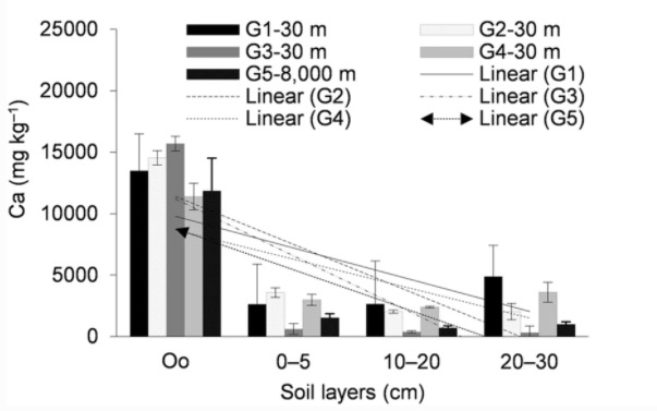 Spatial variability of nutrients in soils and plants of forest ecosystems located near the highway