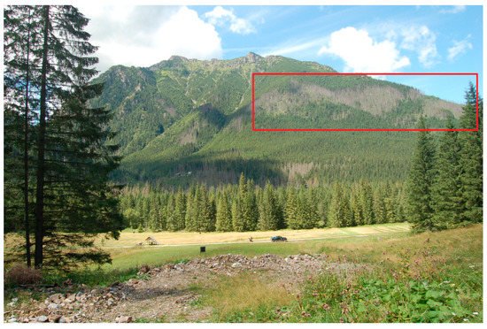 Potential Solar Radiation as a Driver for Bark Beetle Infestation on a Landscape Scale