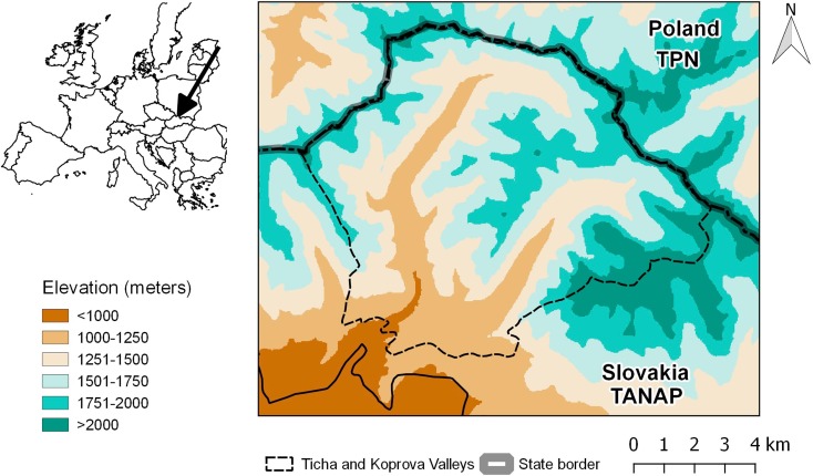 Landscape-level spread of beetle infestations from windthrown- and beetle-killed trees in the non-intervention zone of the Tatra National Park, Slovakia (Central Europe)
