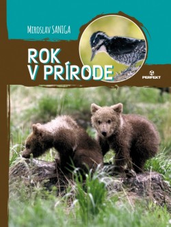 Rok v prírode [Nature throughout the year]