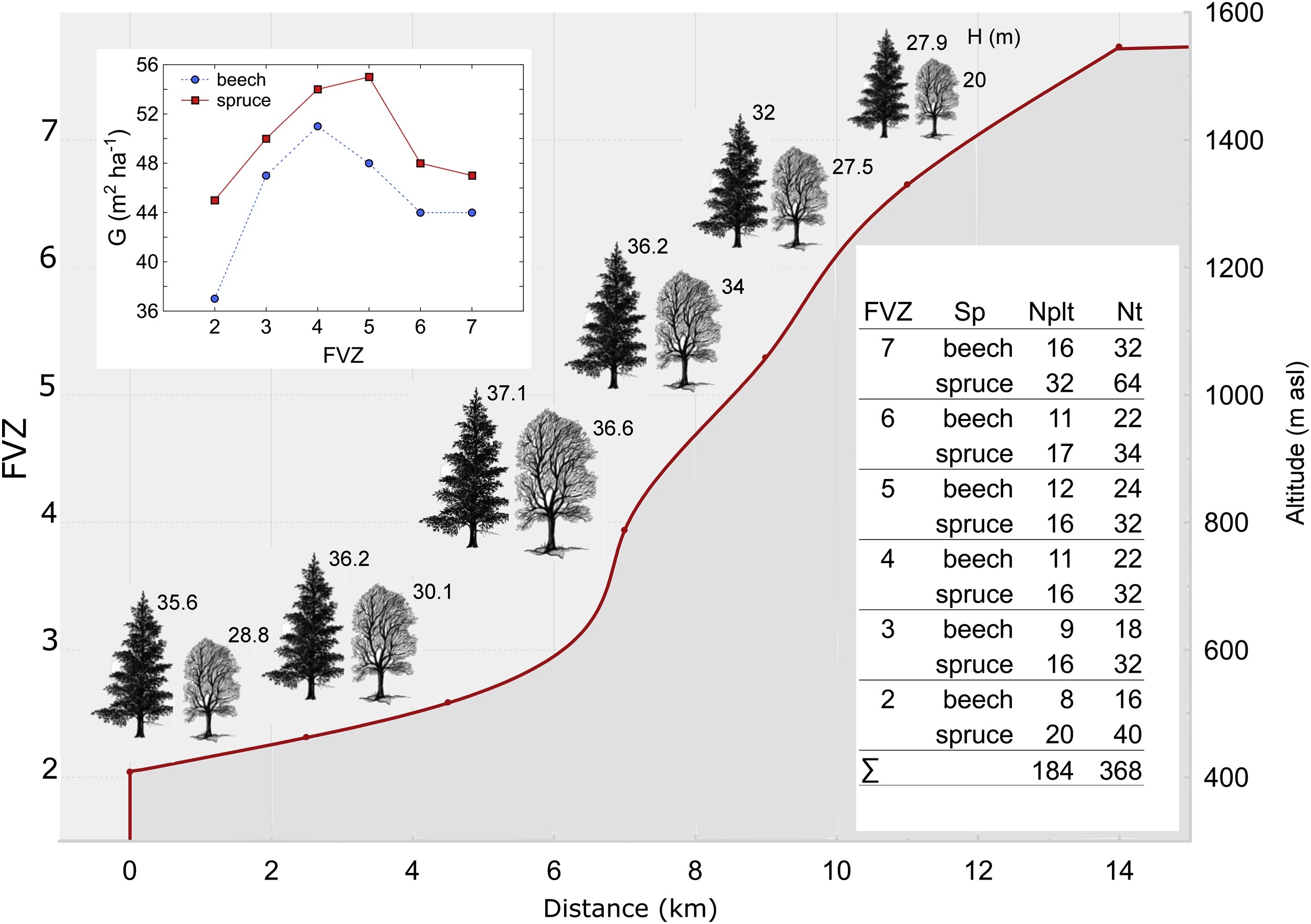 Growth-climate responses indicate shifts in the competitive ability of European beech and Norway spruce under recent climate warming in East-Central Europe