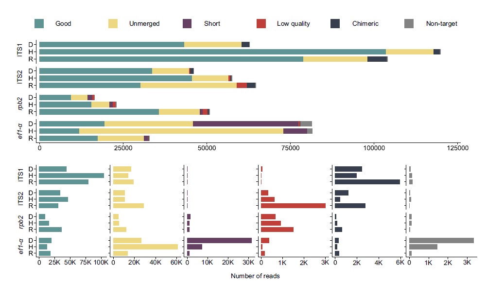 Protein Coding Low-Copy rpb2 and ef1-α Regions Are Viable Fungal Metabarcoding DNA Markers Which Can Supplement ITS for Better Accuracy