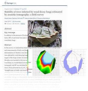 Stability of trees infected by wood decay fungi estimated by acoustic tomography: a field survey