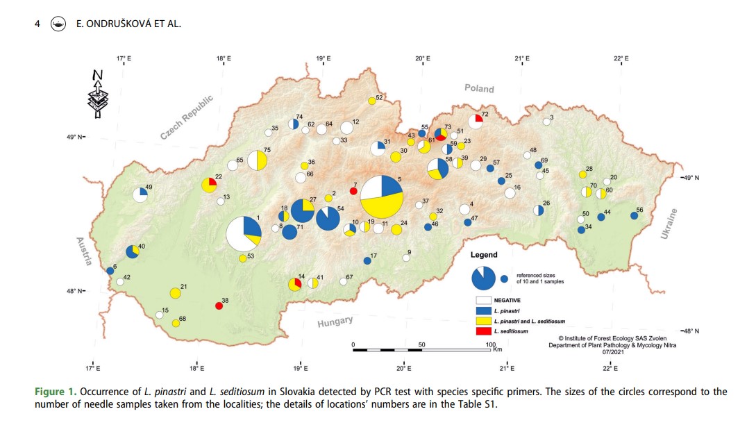 Checking the balance between pathogenic and mutualistic pine needle fungi of the genus Lophodermium in forested  and urban areas of Slovakia