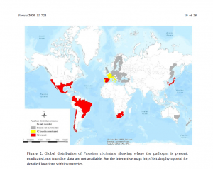 Global Geographic Distribution and Host Range of Fusarium circinatum, the Causal Agent of Pine Pitch Canker