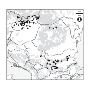 Beech bark necrosis: partitioning the environmental and spatial variation of the damage severity in Central and South-Eastern Europe