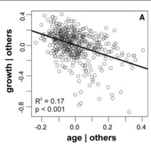 The effect of age on height growth in even-sized saplings of Fagus sylvatica L.