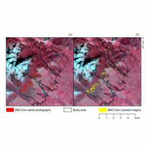 Applicability of a vegetation indices-based method to map bark beetle outbreaks in the High Tatra Mountains