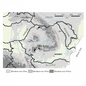 Distribution and population structure of the chestnut blight fungus in Romania
