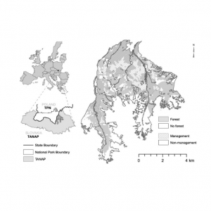 Storms, temperature maxima and the Eurasian spruce bark beetle  Ips typographus — an infernal trio in Norway spruce forests of the Central European High Tatra Mountains